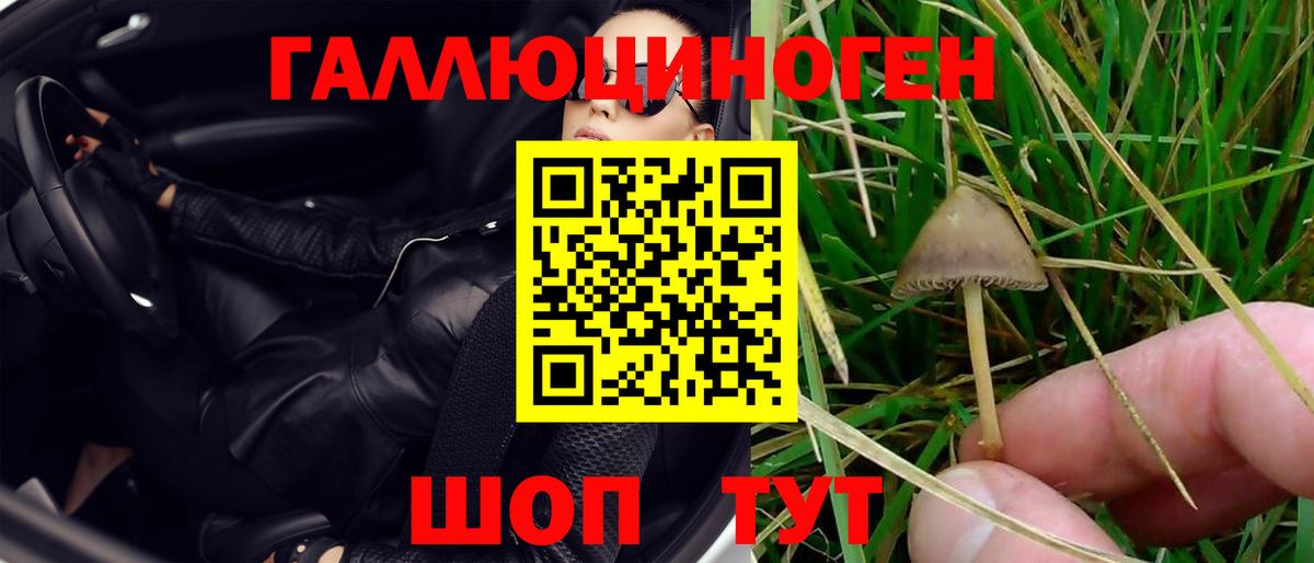 Кизляр  Псилоцибиновые грибы мицелий  Вход с VPN 